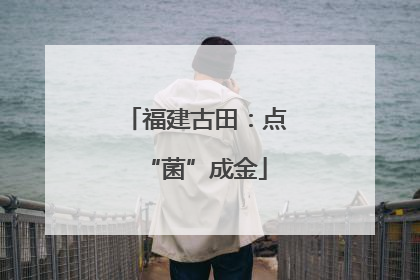 福建古田：点“菌”成金