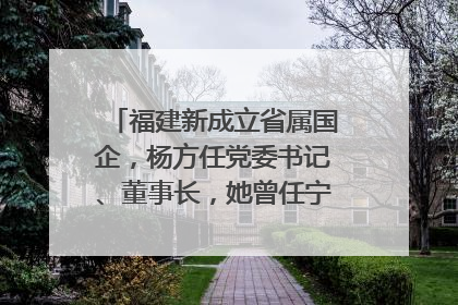 福建新成立省属国企，杨方任党委书记、董事长，她曾任宁德市委副书记｜张田怡已任县委副书记、县政府党组书记