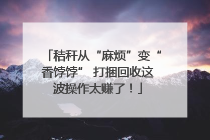 秸秆从“麻烦”变“香饽饽” 打捆回收这波操作太赚了！