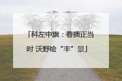 科左中旗：春播正当时 沃野绘“丰”景