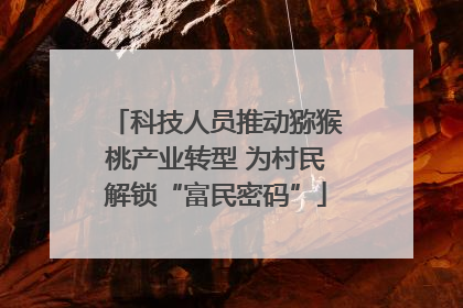 科技人员推动猕猴桃产业转型 为村民解锁“富民密码”