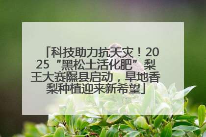 科技助力抗天灾！2025“黑松土活化肥”梨王大赛隰县启动，旱地香梨种植迎来新希望