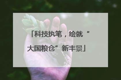 科技执笔，绘就“大国粮仓”新丰景