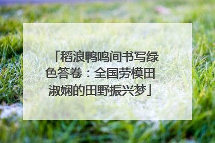 稻浪鸭鸣间书写绿色答卷：全国劳模田淑娴的田野振兴梦