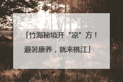 竹海秘境开“凉”方！避暑康养，就来桃江