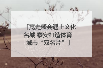 竞走盛会遇上文化名城 泰安打造体育城市“双名片”