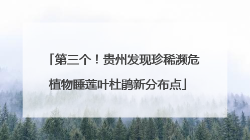 第三个！贵州发现珍稀濒危植物睡莲叶杜鹃新分布点
