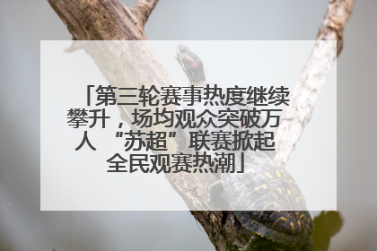 第三轮赛事热度继续攀升，场均观众突破万人 “苏超”联赛掀起全民观赛热潮