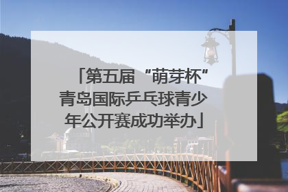 第五届“萌芽杯”青岛国际乒乓球青少年公开赛成功举办