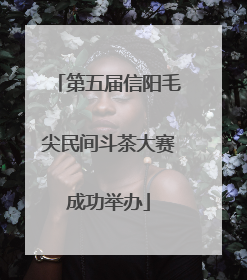 第五届信阳毛尖民间斗茶大赛成功举办