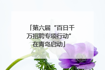 第六届“百日千万招聘专项行动”在青岛启动