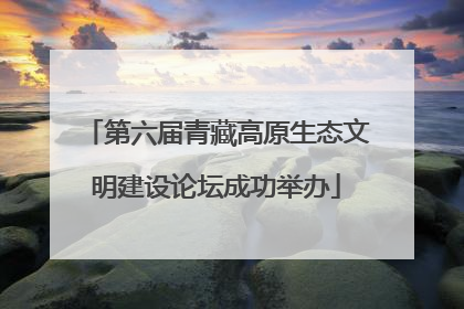 第六届青藏高原生态文明建设论坛成功举办