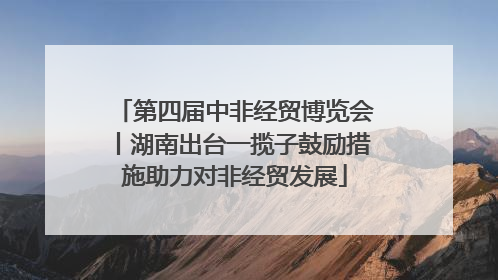 第四届中非经贸博览会丨湖南出台一揽子鼓励措施助力对非经贸发展