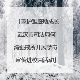 翼护雏鹰助成长 武汉市司法局何湾强戒所开展禁毒宣传进校园活动