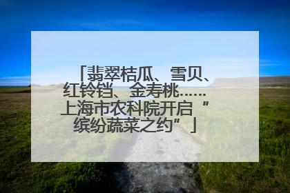 翡翠桔瓜、雪贝、红铃铛、金寿桃……上海市农科院开启“缤纷蔬菜之约”