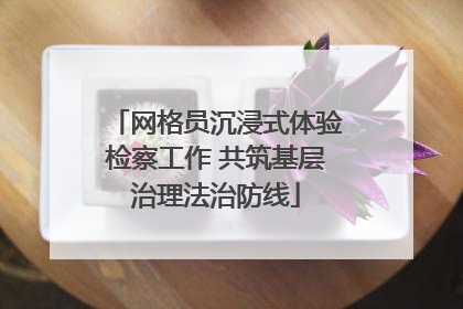 网格员沉浸式体验检察工作 共筑基层治理法治防线