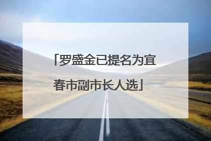 罗盛金已提名为宜春市副市长人选