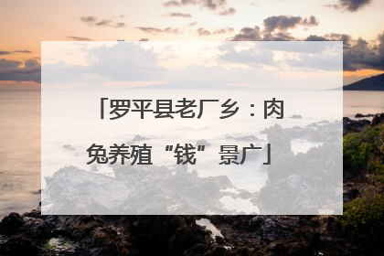 罗平县老厂乡：肉兔养殖“钱”景广