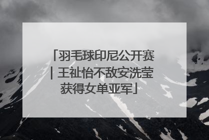 羽毛球印尼公开赛｜王祉怡不敌安洗莹 获得女单亚军