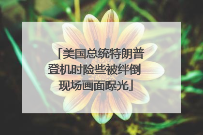美国总统特朗普登机时险些被绊倒 现场画面曝光