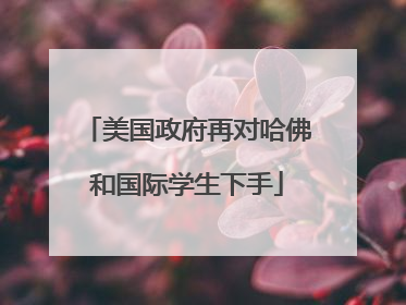 美国政府再对哈佛和国际学生下手