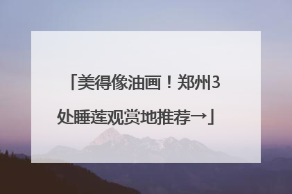 美得像油画！郑州3处睡莲观赏地推荐→