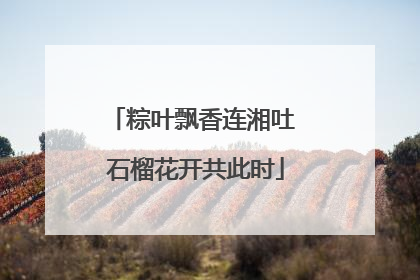 粽叶飘香连湘吐 石榴花开共此时