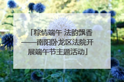 粽情端午 法韵飘香——南阳卧龙区法院开展端午节主题活动