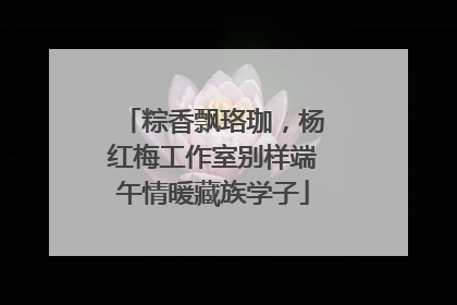 粽香飘珞珈，杨红梅工作室别样端午情暖藏族学子