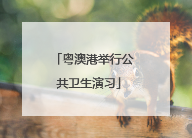 粤澳港举行公共卫生演习
