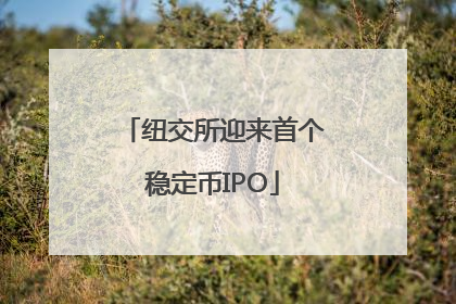 纽交所迎来首个稳定币IPO
