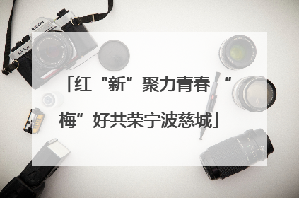 红“新”聚力青春 “梅”好共荣宁波慈城