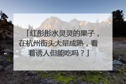 红彤彤水灵灵的果子，在杭州街头大量成熟，看着诱人但能吃吗？