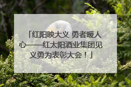 红阳映大义 勇者暖人心——红太阳酒业集团见义勇为表彰大会！