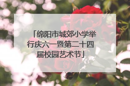 绵阳市城郊小学举行庆六一暨第二十四届校园艺术节