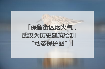 保留街区烟火气，武汉为历史建筑绘制“动态保护图”