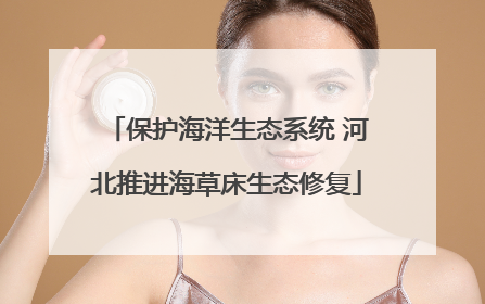 保护海洋生态系统 河北推进海草床生态修复