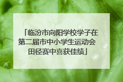 临汾市向阳学校学子在第二届市中小学生运动会田径赛中喜获佳绩