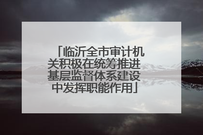 临沂全市审计机关积极在统筹推进基层监督体系建设中发挥职能作用