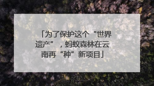 为了保护这个“世界遗产”，蚂蚁森林在云南再“种”新项目