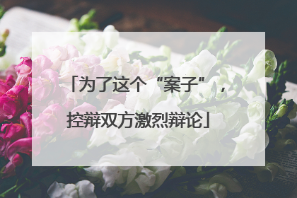 为了这个“案子”，控辩双方激烈辩论