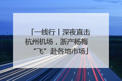 一线行丨深夜直击杭州机场，浙产杨梅“飞”赴各地市场