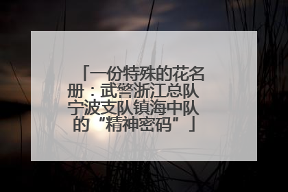 一份特殊的花名册：武警浙江总队宁波支队镇海中队的“精神密码”