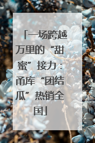一场跨越万里的“甜蜜”接力：甬库“团结瓜”热销全国