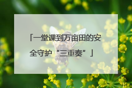 一堂课到万亩田的安全守护“三重奏”