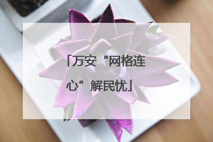 万安“网格连心”解民忧