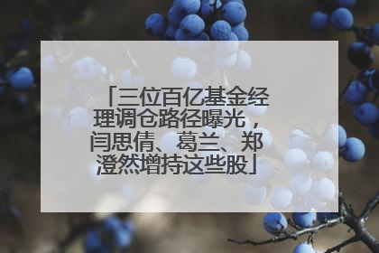 三位百亿基金经理调仓路径曝光，闫思倩、葛兰、郑澄然增持这些股