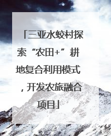 三亚水蛟村探索“农田+”耕地复合利用模式，开发农旅融合项目