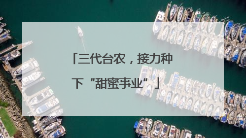 三代台农，接力种下“甜蜜事业”