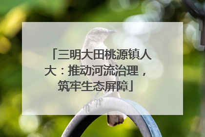 三明大田桃源镇人大：推动河流治理，筑牢生态屏障
